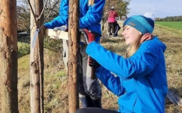 Výsadba liniové zeleně v obci