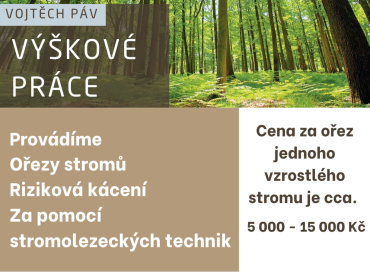 Ořezy stromů, riziková kácení