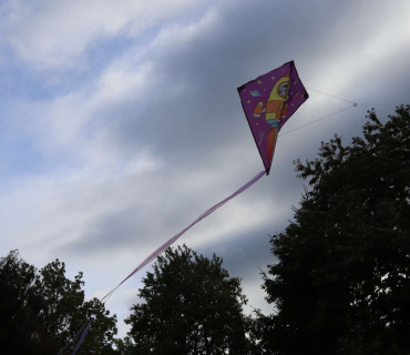 Někteří draci si nedali říct a skončili ve větvích...