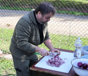 Cibule červená