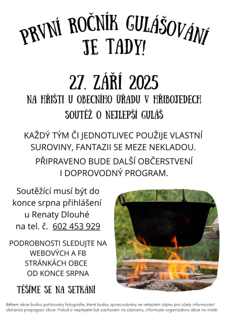 obrázek v textu