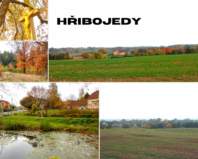 obrázek v textu