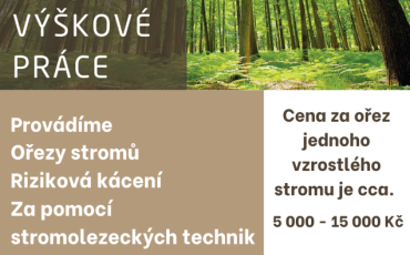 Ořezy stromů, riziková kácení