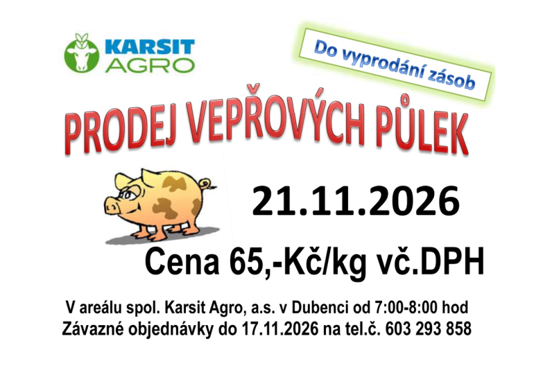 obrázek v textu
